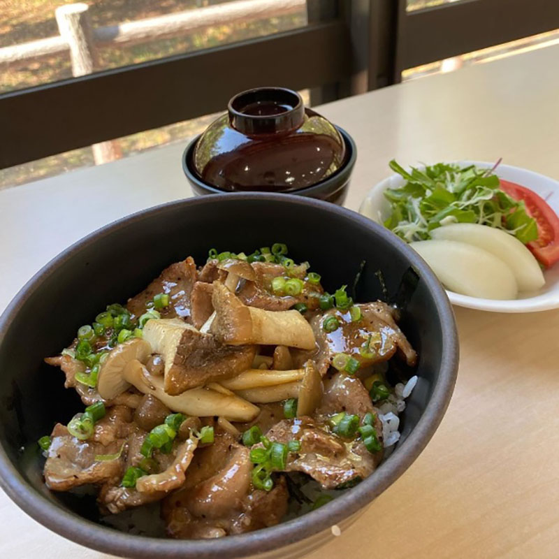 20240900_kinokotobuta